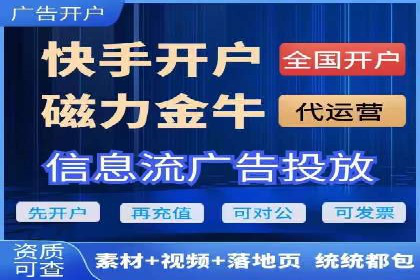 SEM推广实战：成功案例解读与策略调整